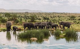 โฟร์ ซีซั่น ซาฟารี ลอดจ์ เซเรงเกติ แทนซาเนีย